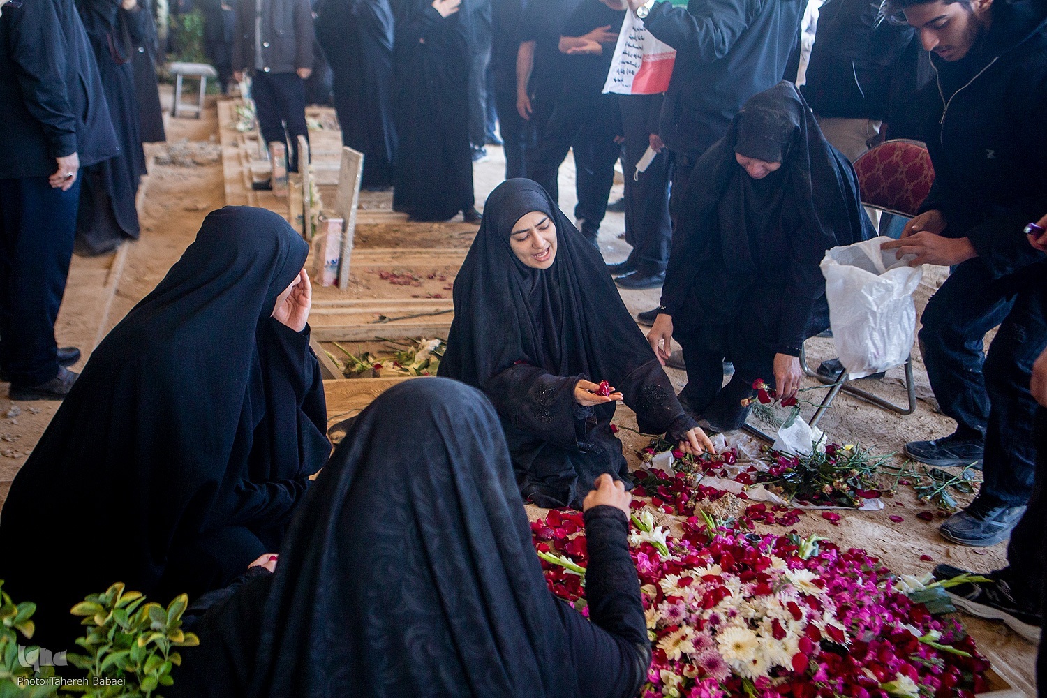 عکس تزئینی است