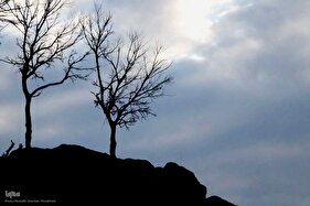 ریشه در خاک، سمبل مقاومت و ایستادگی