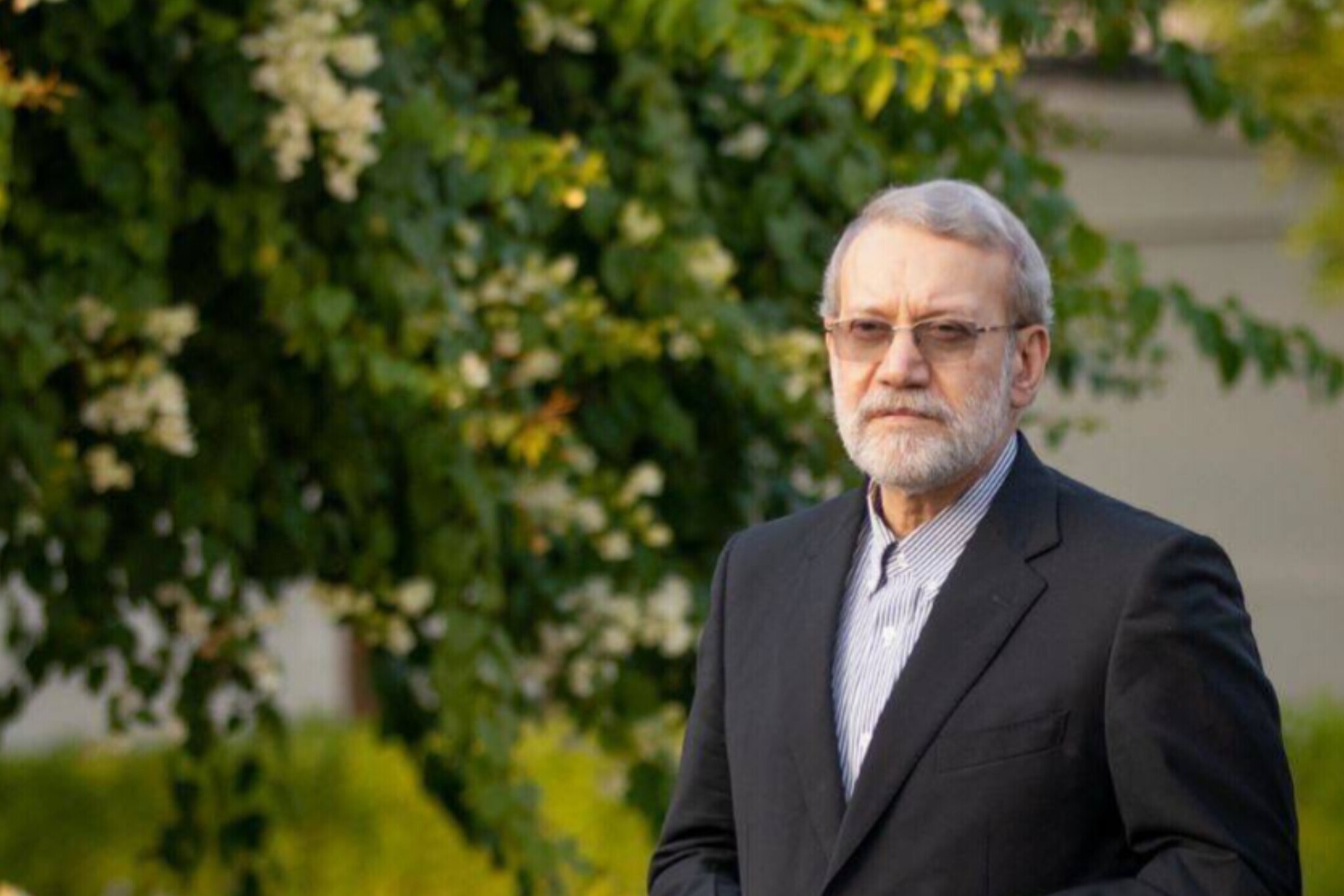 شهید لاریجانی شهید لاریجانی