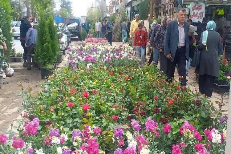 جنب‌وجوش مثال‌زدنی شیرازی‌ها در آستانه سال نو