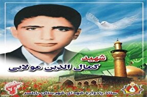 تکریم خانواده‌ شهدا مسئولیتی همگانی و دینی است