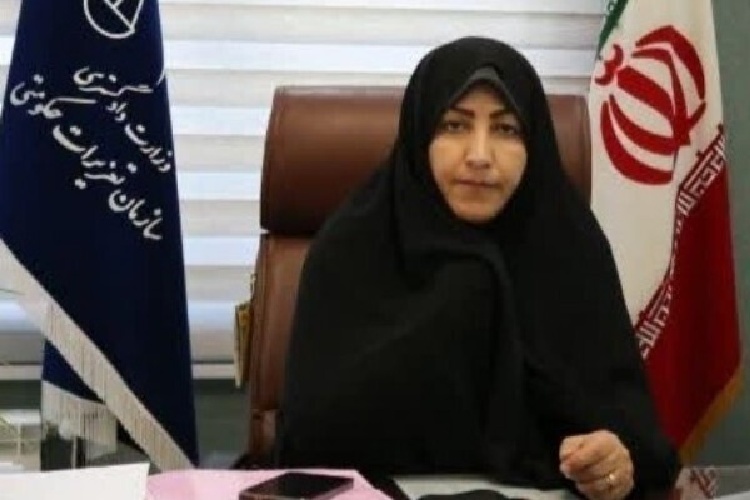 محکومیت ۳۰ میلیاردی متخلفان کالا و خدمات در بهمن ماه