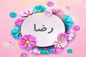 نامگذاری ۸۷ هزار نوزاد یزدی به نام و القاب امام رضا(ع)