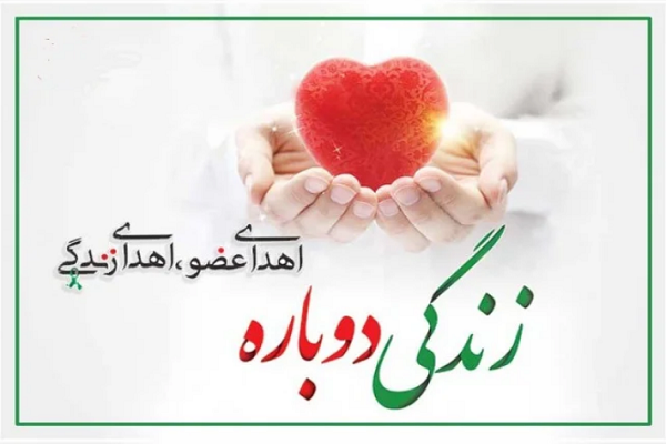 اهدای عضو