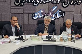 دستگاه‌های اجرایی کردستان نسبت به جذب ۱۰۰ درصدی اعتبارات اقدام کنند