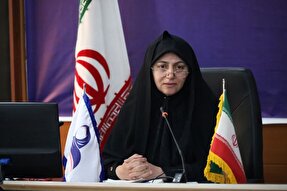 تدوین سند تحلیلی وضعیت زنان و خانواده فارس