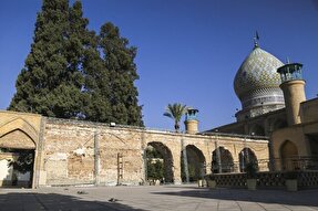 تلاش برای ارتقای آگاهی عمومی درباره شخصیت حضرت علی‌ بن‌ حمزه (ع)