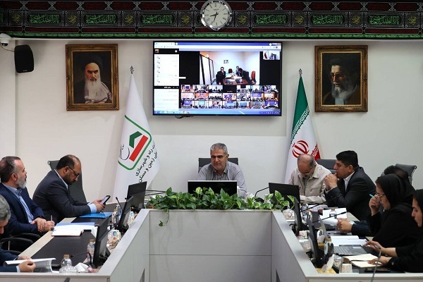 تخصیص و واگذاری ۹۵ هزار قطعه زمین در اجرای قانون جوانی جمعیت