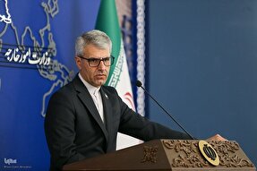 رژیم صهیونیستی با سلاح گرسنگی به‌دنبال امحای ملت فلسطین است