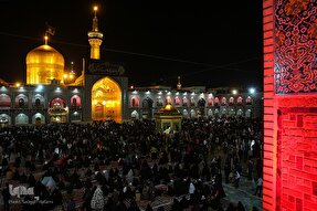 از اشک واژه‌ها تا معجزه محبت؛ روایت شاعر اهل‌بیت از کرامت امام رضا(ع)