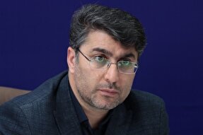 جشنواره انگور پل ارتباطی بین کشاورز و بازار جهانی باشد