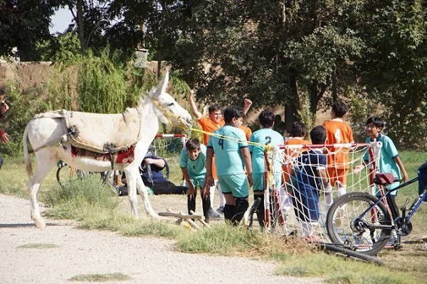 آماده انتشار پنجشنبه 17 مهر///زنگ خطر جدی عقبگرد سینمای کودک/ لزوم هوشمندی در برساخت مفهوم نوجوان امروز با زبان هنر+صوت آماده انتشار پنجشنبه 17 مهر///زنگ خطر جدی عقبگرد سینمای کودک/ لزوم هوشمندی در برساخت مفهوم نوجوان امروز با زبان هنر+صوت