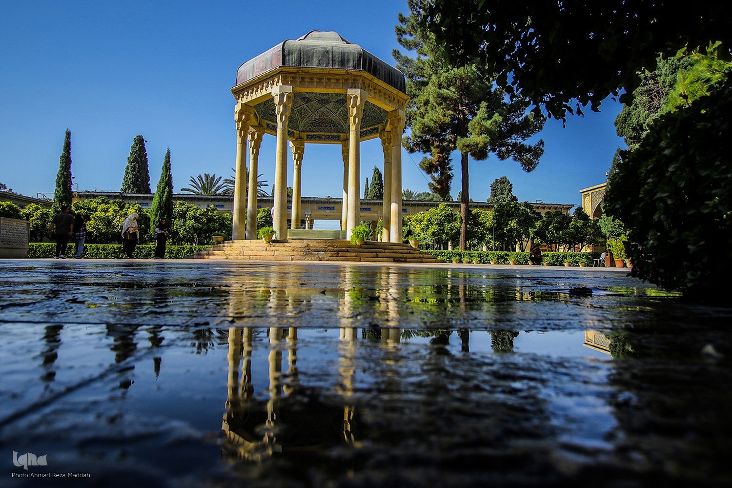 درست زیستن امروزه بیشتر از زبان نیاز به درک اندیشه حافظ دارد+صوت درست زیستن امروزه بیشتر از زبان نیاز به درک اندیشه حافظ دارد+صوت