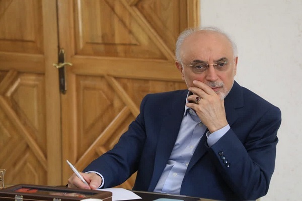 علی‌اکبر صالحی رئیس بنیاد ایران‌شناسی