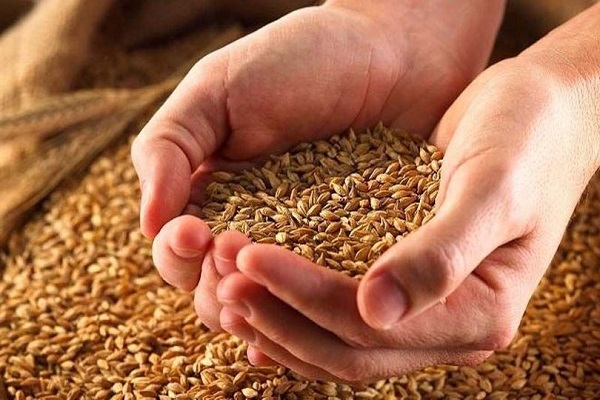 مساعدت بیش از ۴ میلیارد تومانی مؤدیان زکات در شهرستان چالوس