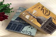 بازتاب انوار نبوی در آیینه تفکر دینی
