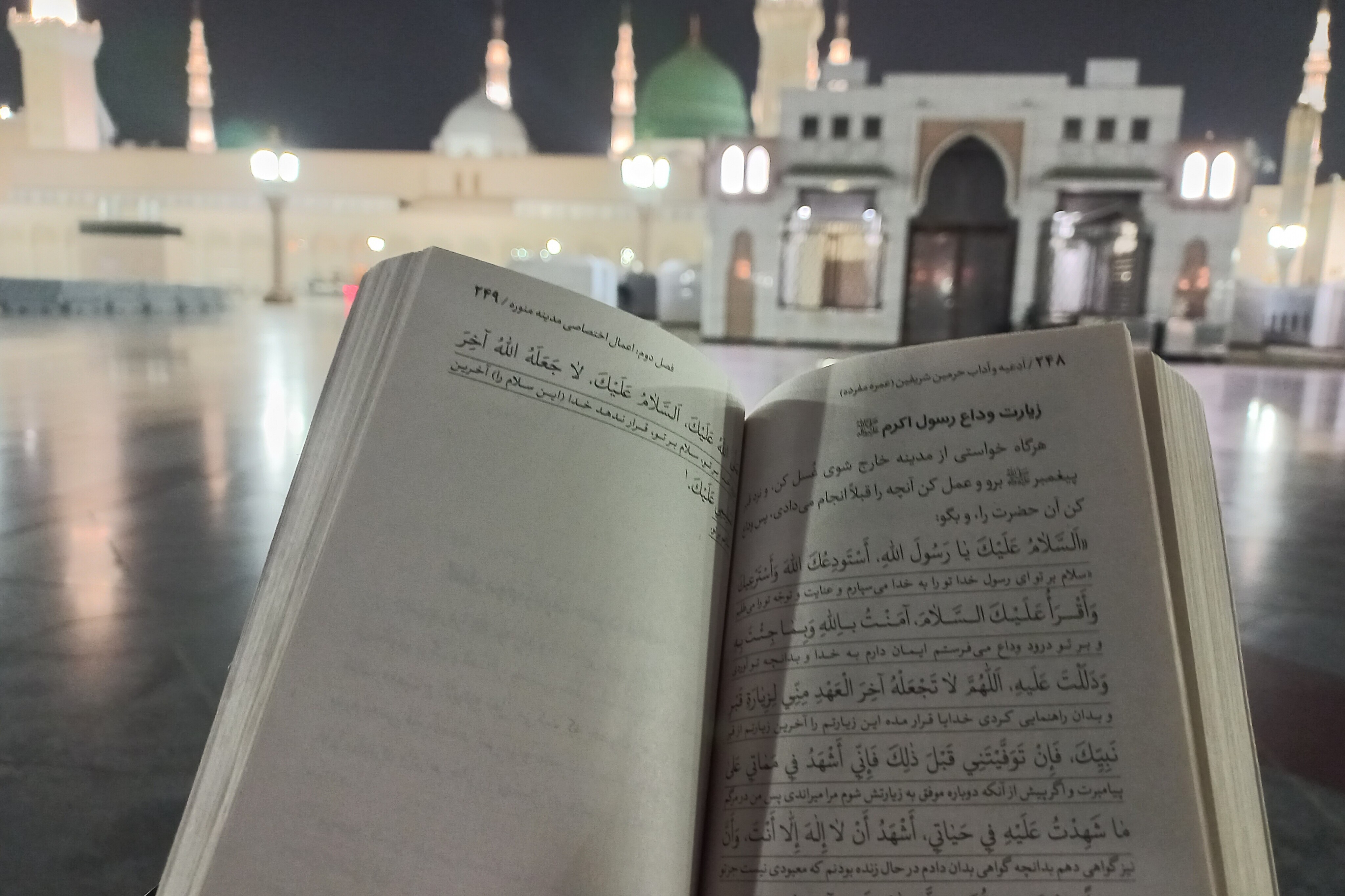 وداع با حضرت رسول(ص)