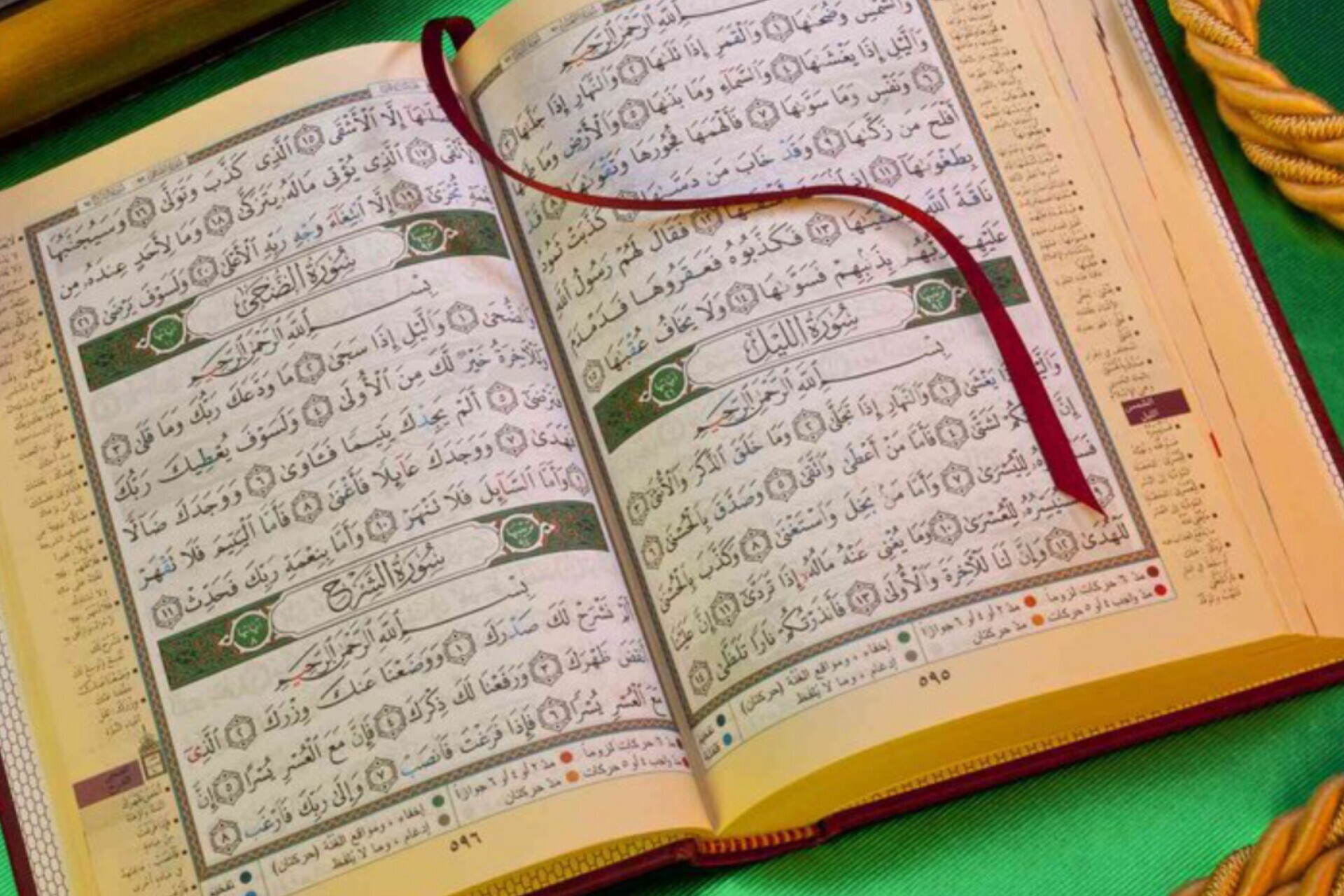 «فصل تعالی»