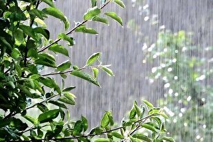 باران؛ جلوه نظم الهی در طبیعت