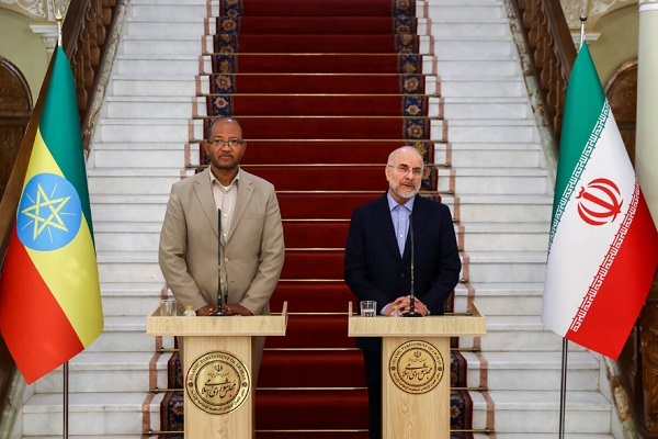 نشست خبری رؤسای مجالس ایران و اتیوپی در بهارستان