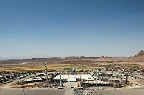 استوری‌موشن | روی علی(ع)