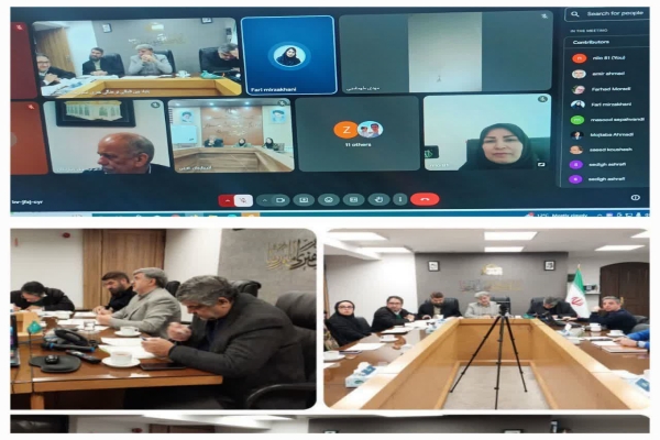 نشست وبیناری شانزدهمین جشنواره داستان رضوی
