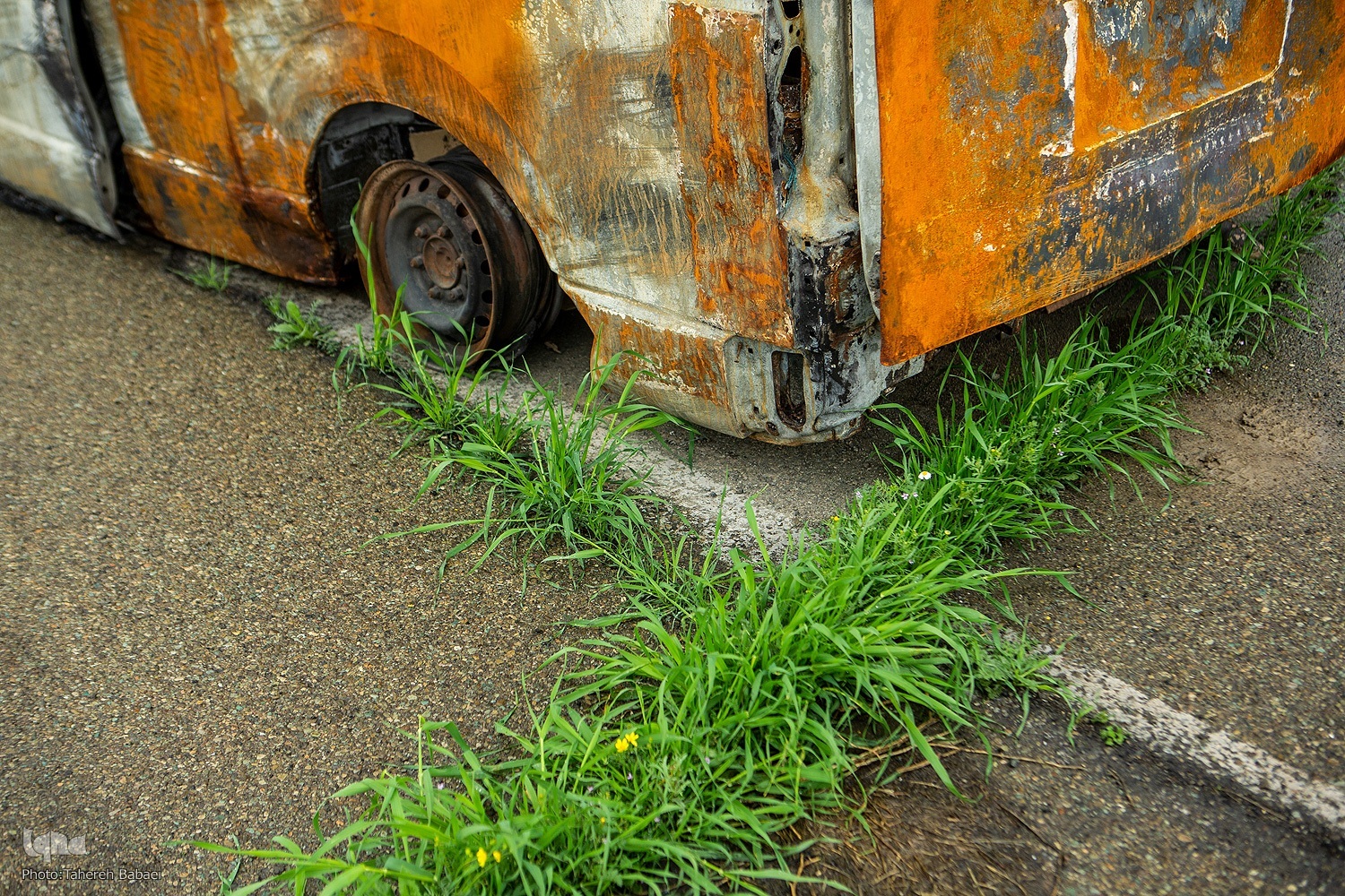 طبیعت جنگ‌زده را در آغوش بگیریم