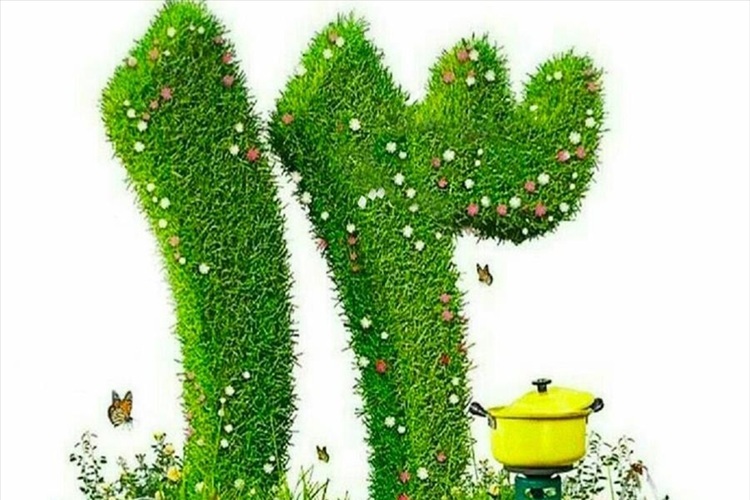 13 بهدر؛ پناهی کوتاه در جهان ناآرام 13 بهدر؛ پناهی کوتاه در جهان ناآرام