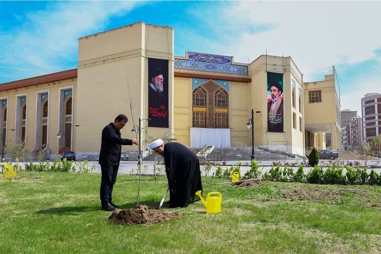 کاشت نهال مثمر در مصلای تبریز + فیلم