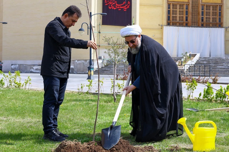 کاشت نهال مثمر در مصلای تبریز + فیلم