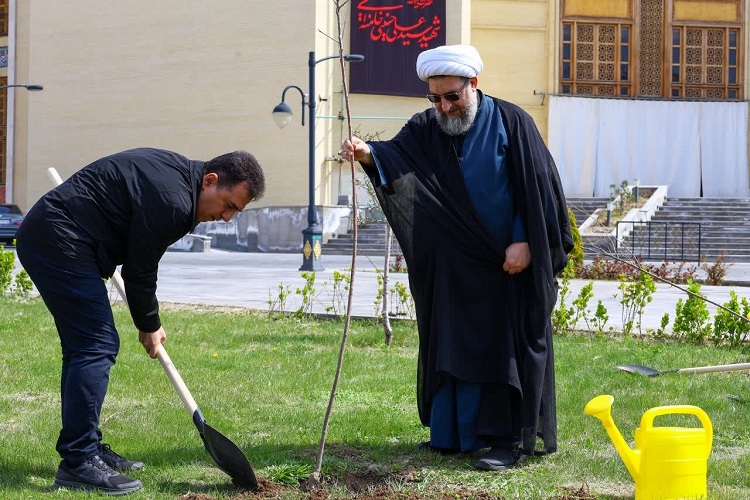 کاشت نهال مثمر در مصلای تبریز + فیلم