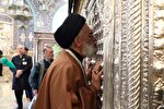 عکس | تشرف تولیت حرم بانوی کرامت به زیارت مزار شهیدان لاریجانی و موسوی