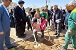 کاشت نهال به یاد شهدا در البرز