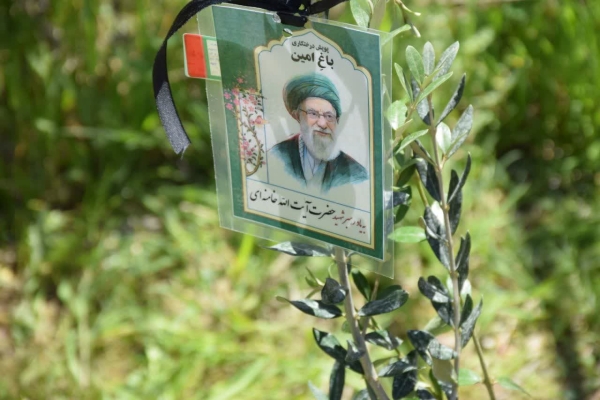 کاشت هفت و نیم میلیون نهال در لرستان