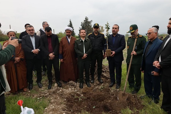 آغاز پویش «سرو ایران» با کاشت گسترده نهال در میاندرود