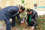 عکس | کاشت نهال امید به یاد شهدای میناب در دانشگاه فرهنگیان یزد