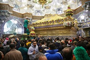 فیلم | حال و هوای ضریح نورانی حرم مطهر بانوی کرامت