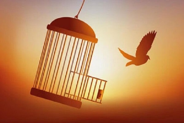 آزادی زندانیان جرائم غیر عمد