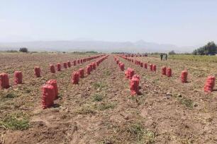 اقدام خیرخواهانه کشاورزی حاجی آبادی