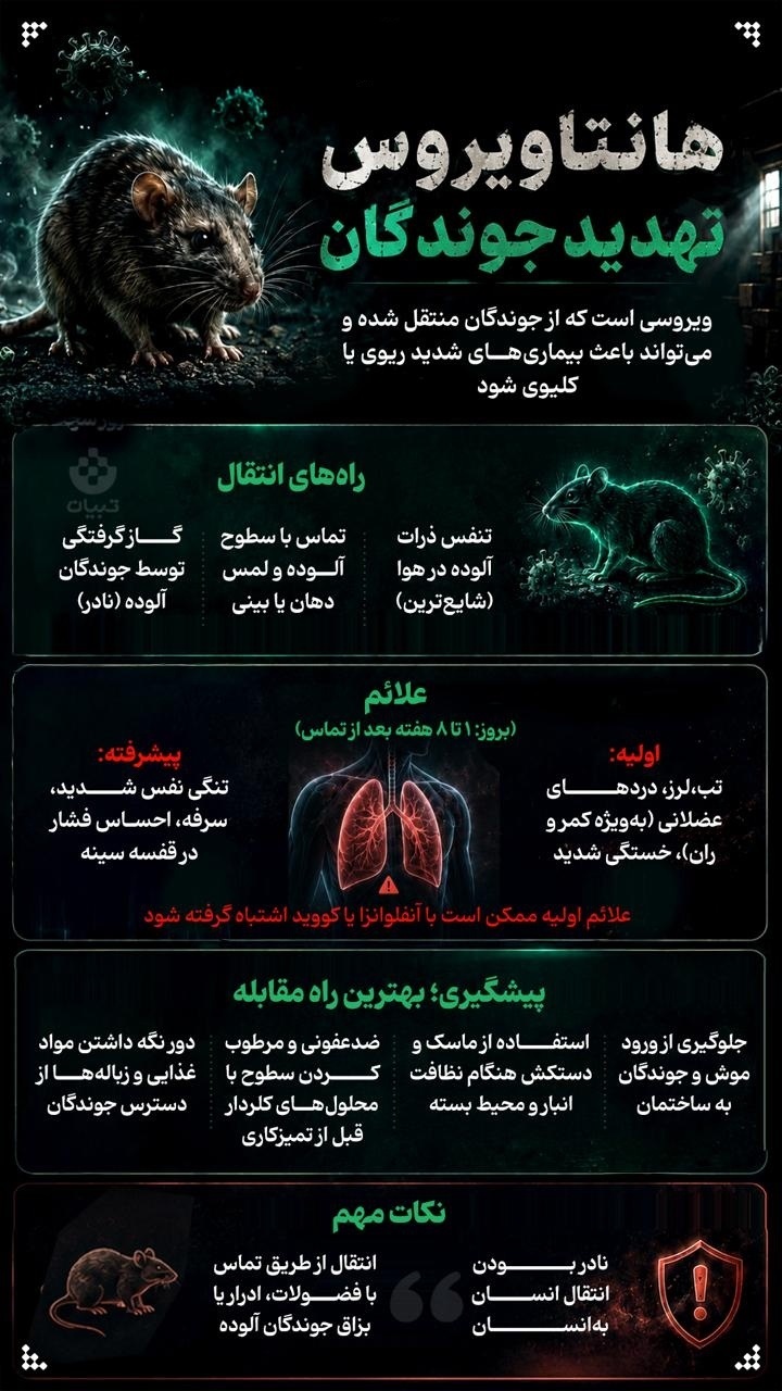 احتمال وجود هانتا ویروس در ایران نزدیک به صفر است