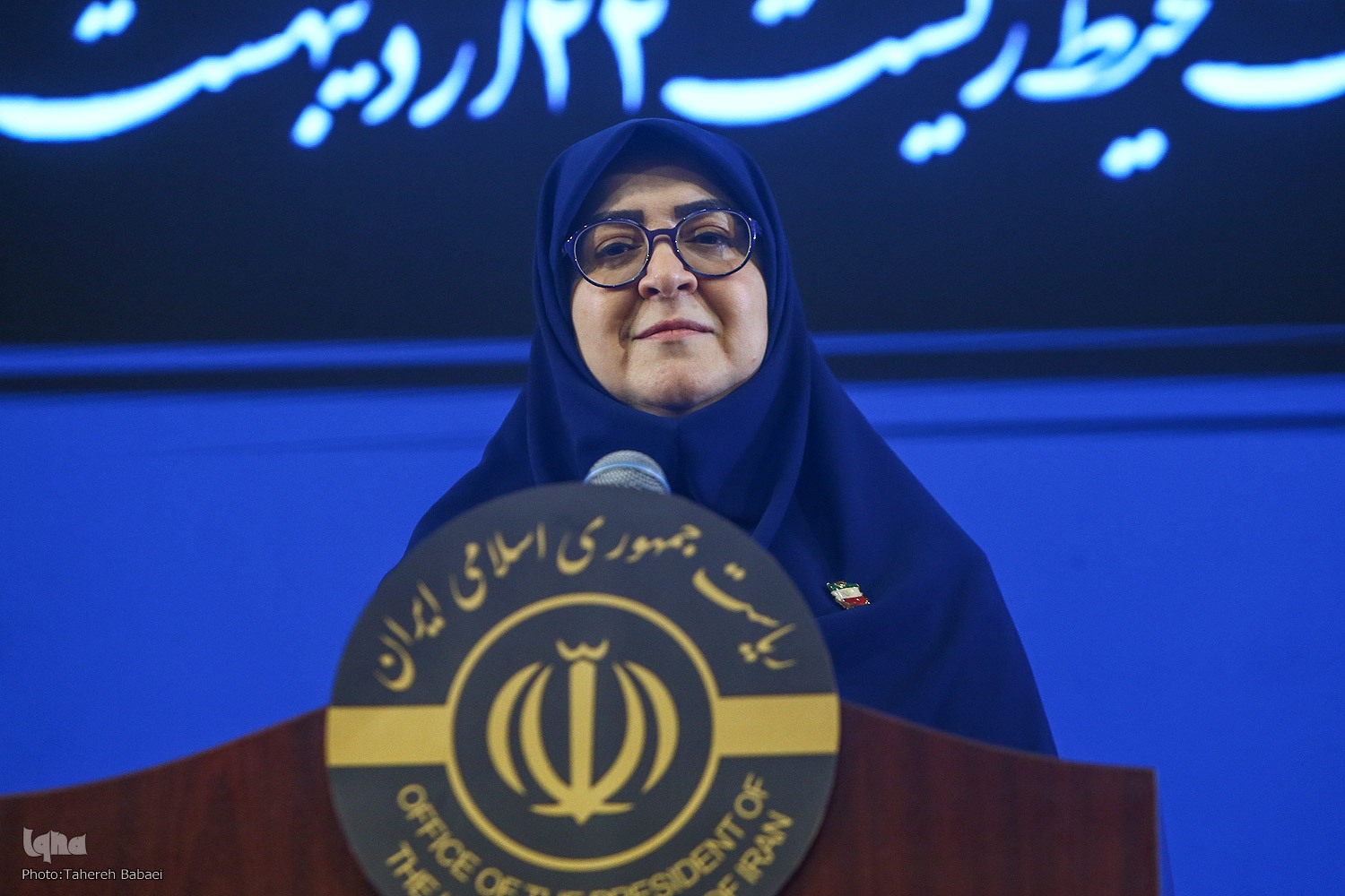 فاطمه مهاجرانی، سخنگوی دولت