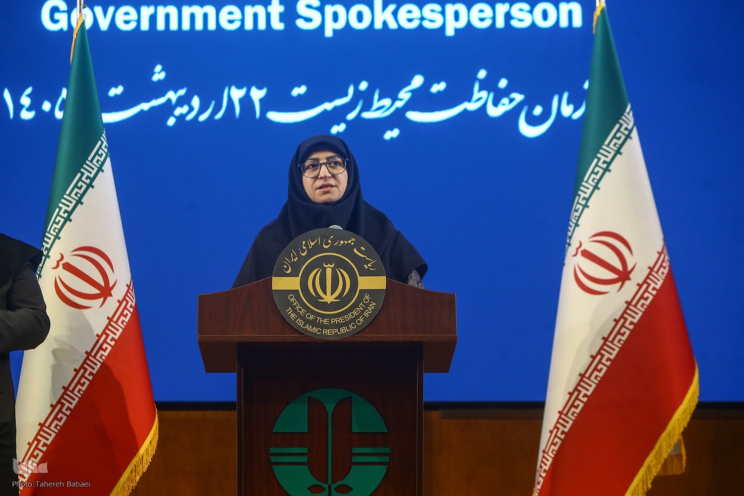 شینا انصاری، رئیس سازمان حفاظت محیط زیست