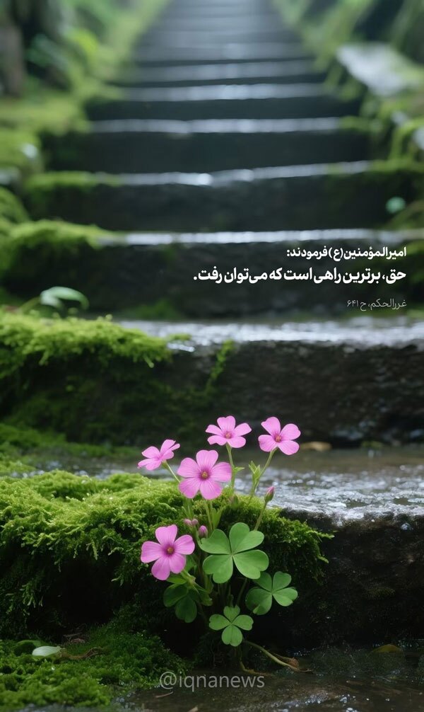 حدیث‌نگاشت