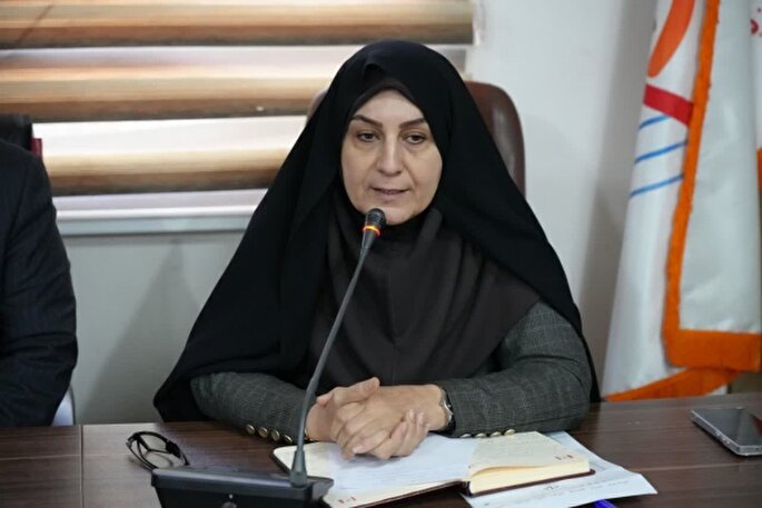 صدور ۲۳ مجوز برای سمن‌های لرستان