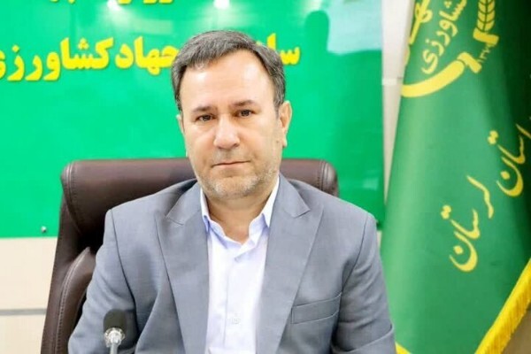 نامدار صیادی، رئیس سازمان جهادکشاورزی لرستان