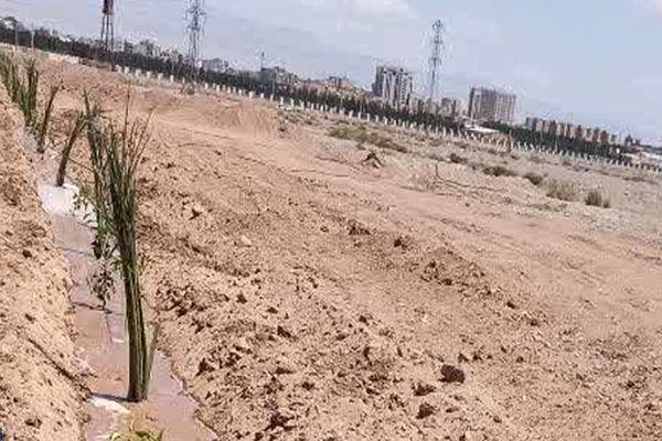 کاشت بیش از ۴۰۰ نهال به یاد شهدای جنگ رمضان در دانشگاه یزد