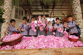 برداشت گل در میمند فارس برای دانش آموزان شهید میناب