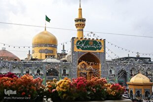 ضیافت ۳۰۰ هزار شاخه گل نذری در حرم امام رضا(ع)