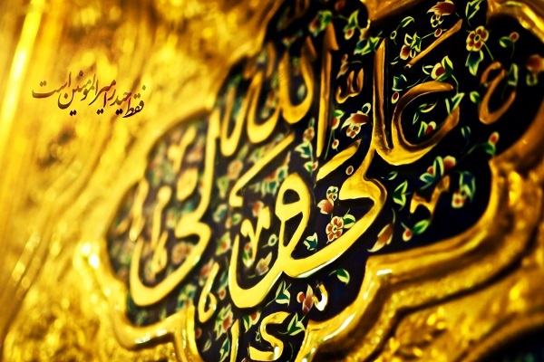 ولایت حضرت علی(ع)؛ اصرار خدا و انکار منافقان