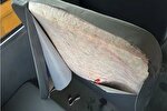 نماینده مجلس کانادا حمله به اتوبوس مدرسه اسلامی همیلتون را محکوم کرد